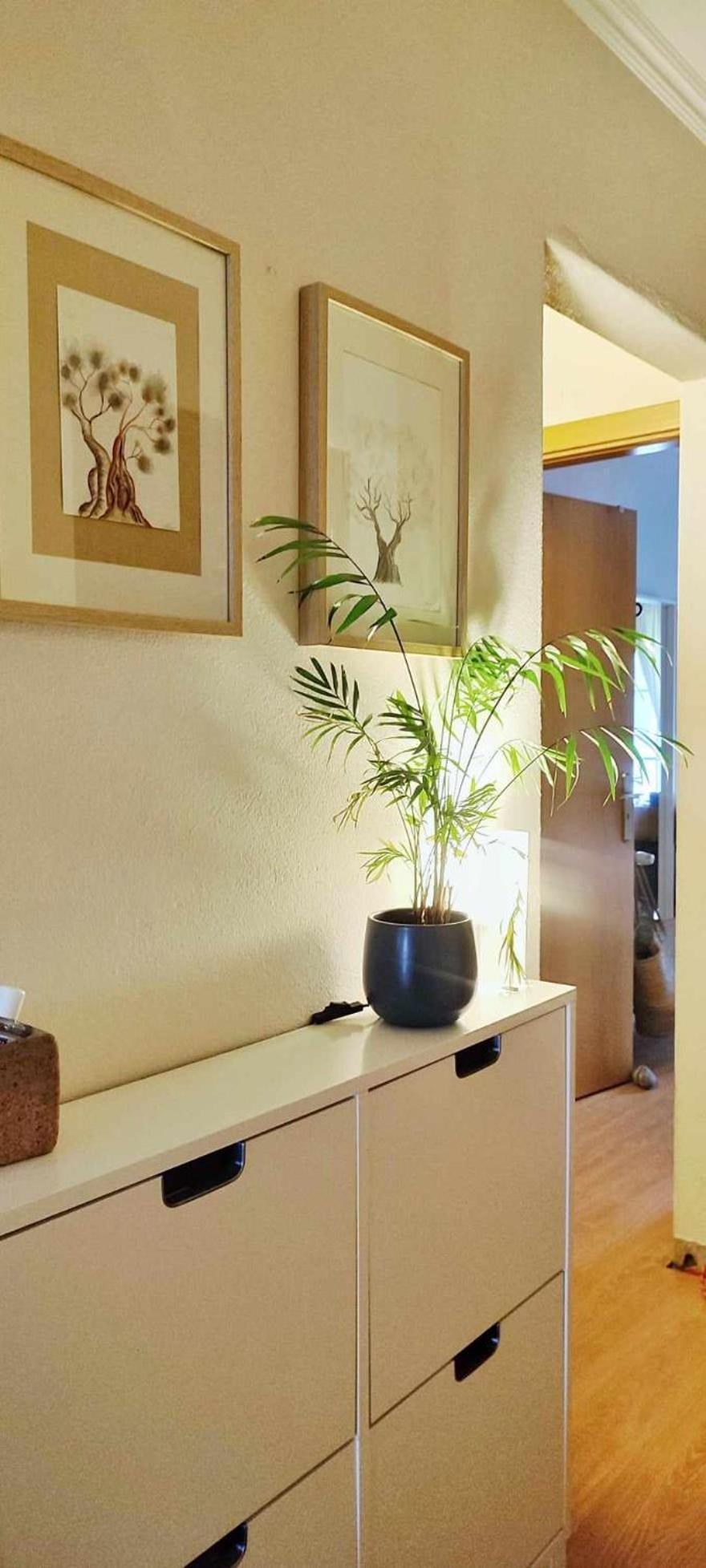 Apartmento Soma アルジェズール エクステリア 写真